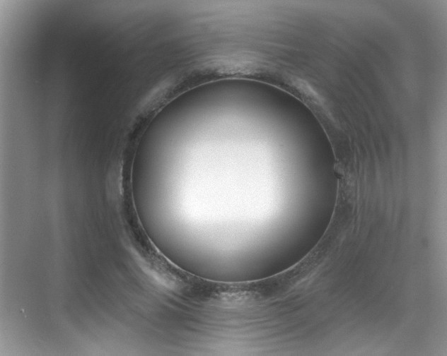 X0000069840686200605191206