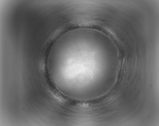 X0000069840687200605191206