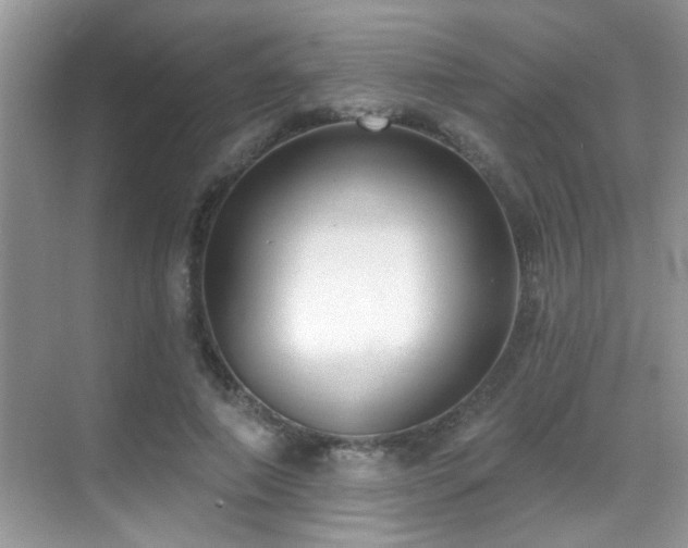 X0000069840690200605191206