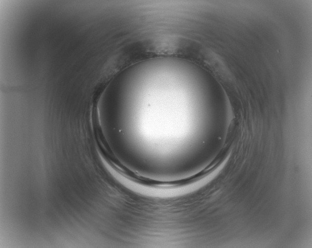 X0000069840697200605191206