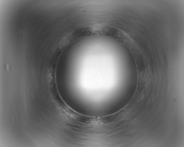 X0000069840702200605191206
