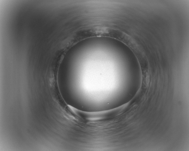 X0000069840704200605191206