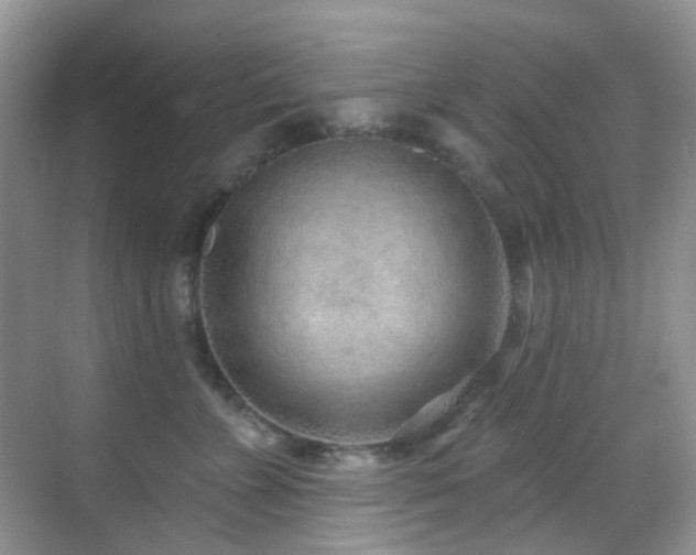 X0000069840715200605191206