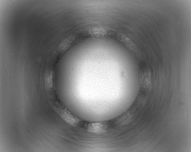 X0000069840717200605191206