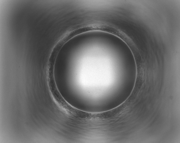 X0000069840730200605191205