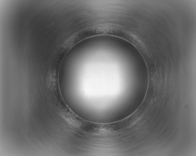 X0000069840737200605191205