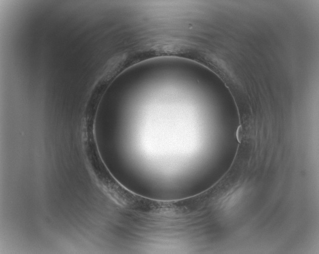 X0000069840738200605191205