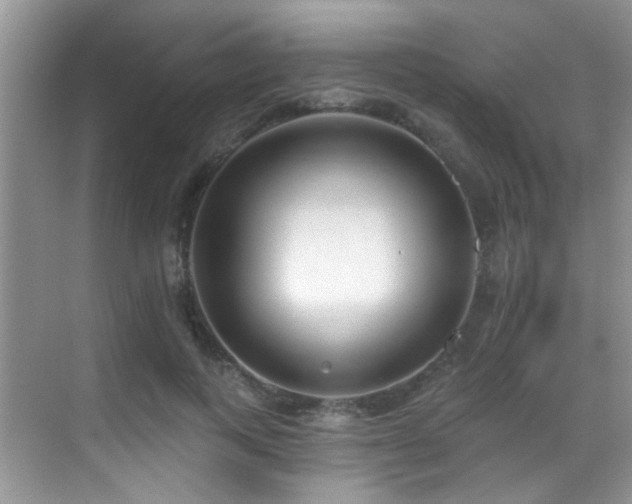 X0000069840743200605191205