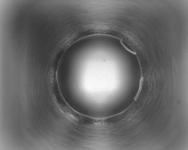 X0000069840744200605191205