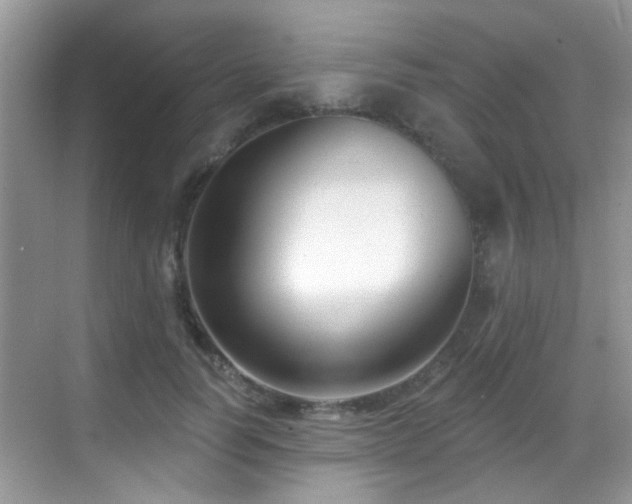 X0000069840746200605191205