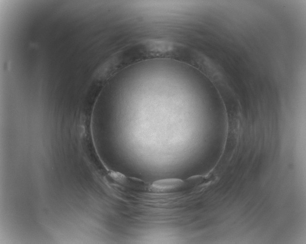 X0000069840758200605191205