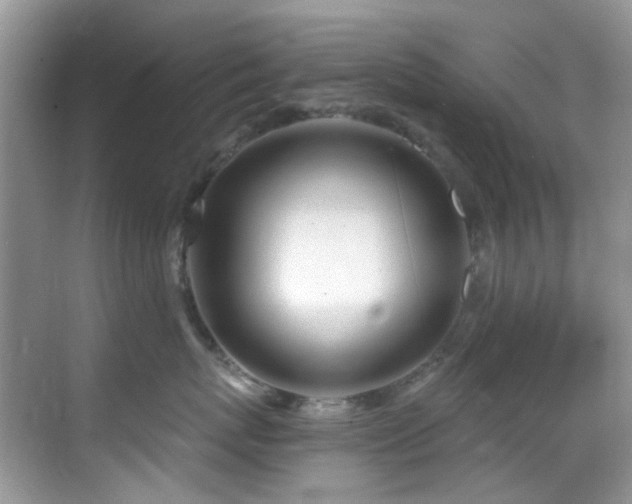 X0000069840767200605191205
