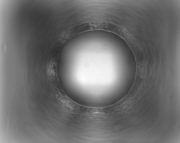 X0000069840770200605191205