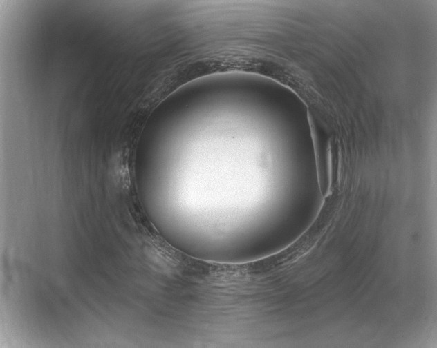 X0000069840771200605191205
