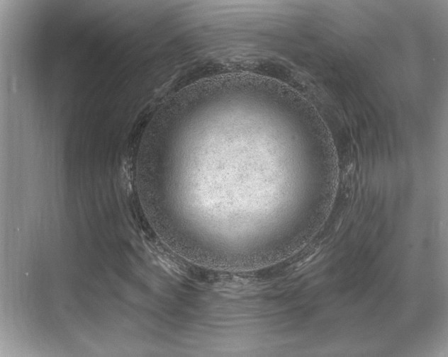 X0000069840772200605191205