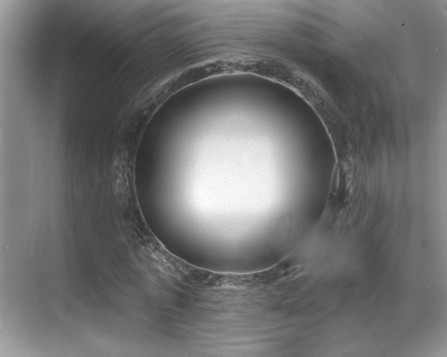 X0000069840773200605191205