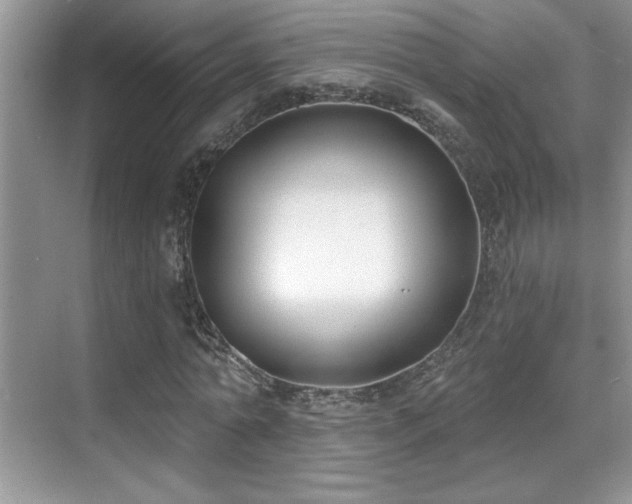 X0000069840774200605191205