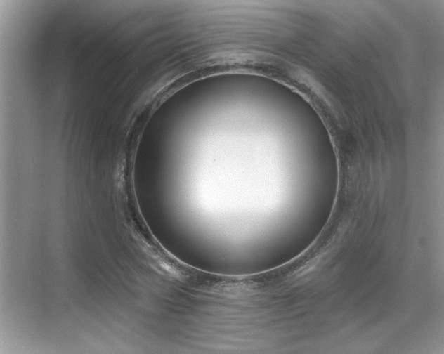 X0000069840778200605191204