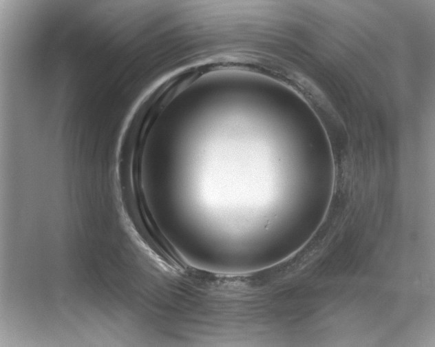 X0000069840784200605191204
