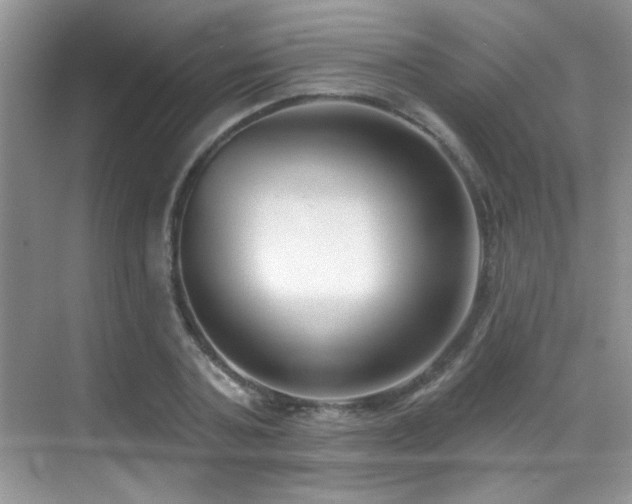X0000069840787200605191204
