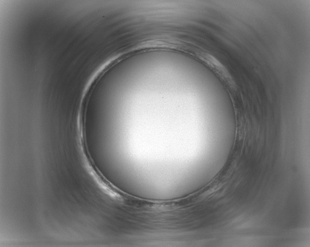 X0000069840796200605191204
