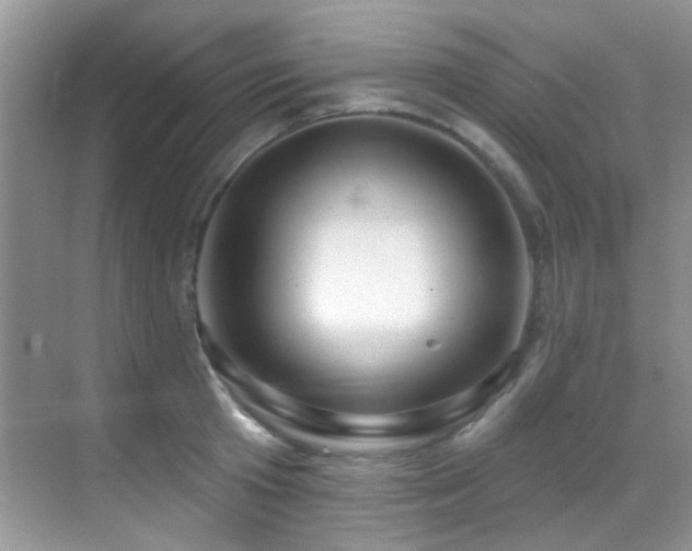 X0000069840801200605191204