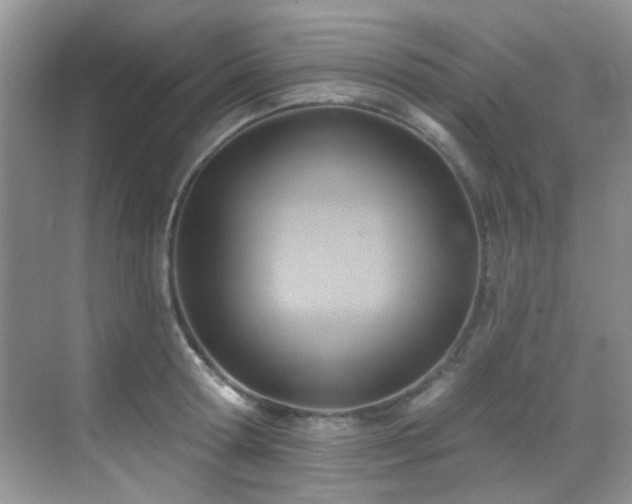 X0000069840802200605191204
