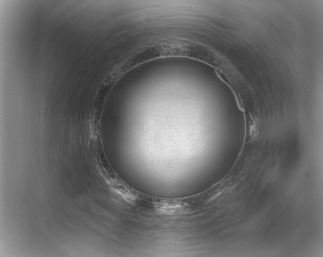 X0000069840819200605191203