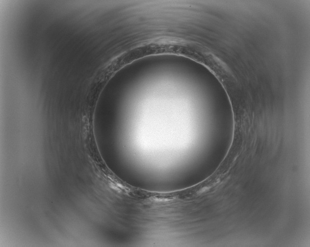 X0000069840821200605191203