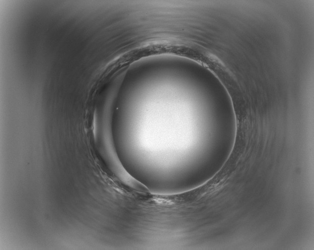 X0000069840822200605191203