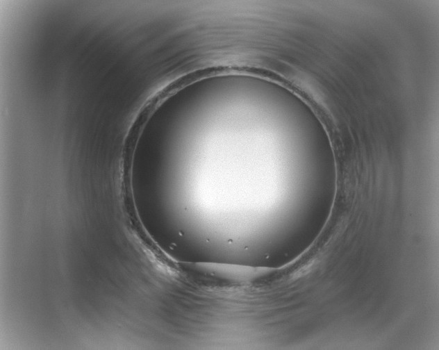 X0000069840831200605191203