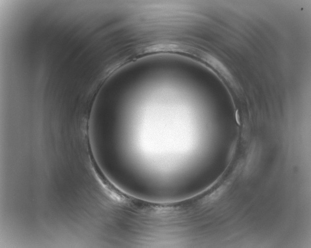 X0000069840849200605191204