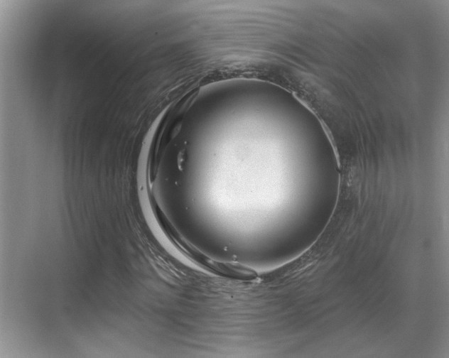 X0000069840868200605191203