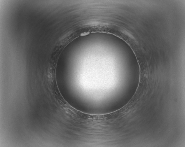 X0000069840869200605191203