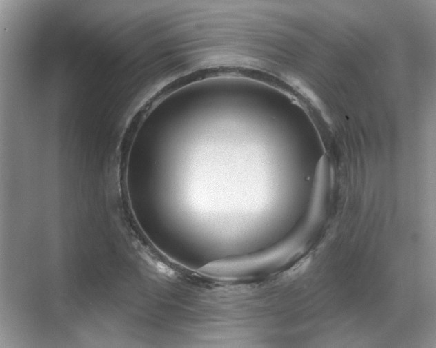 X0000069840877200605191203