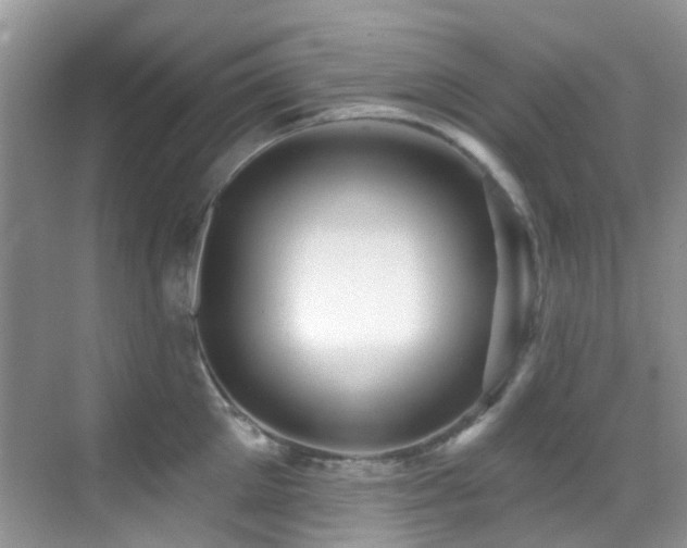 X0000069840905200605191202