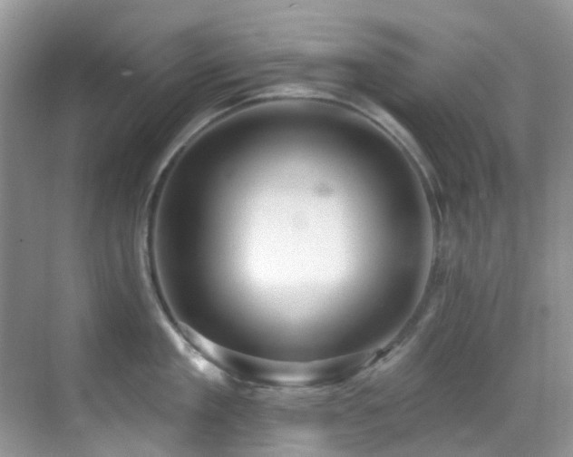 X0000069840909200605191202