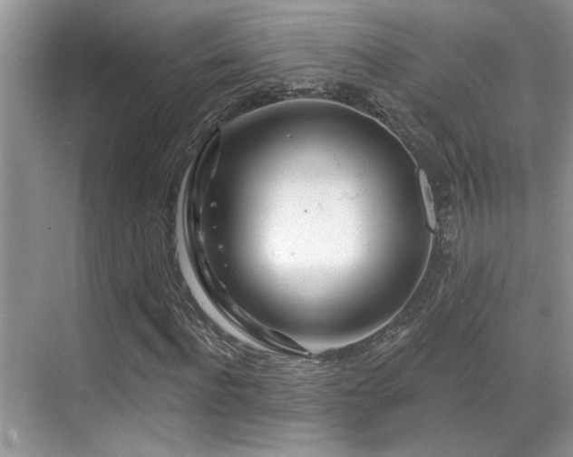 X0000069840916200605191201