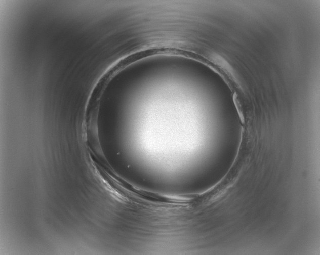 X0000069840924200605191202
