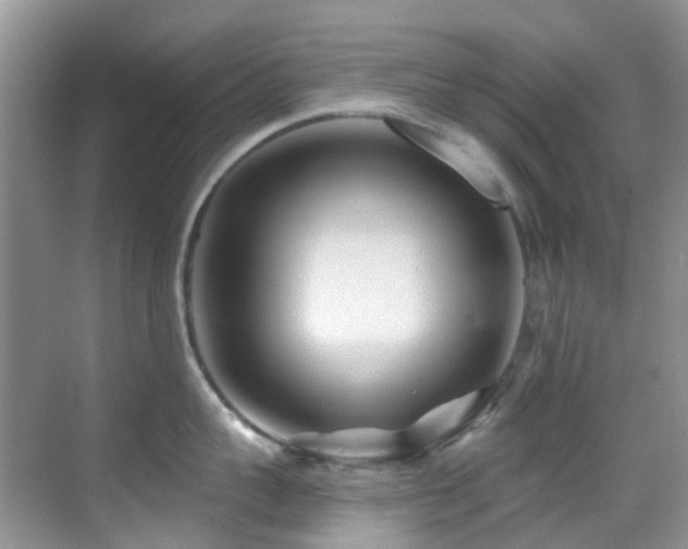 X0000069840959200605191202