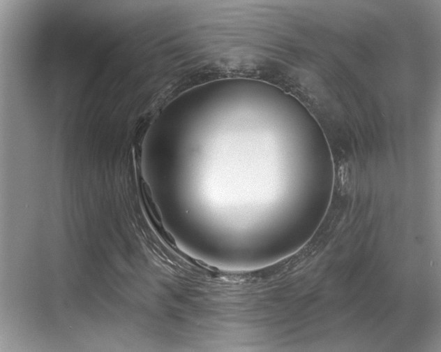 X0000069840963200605191201