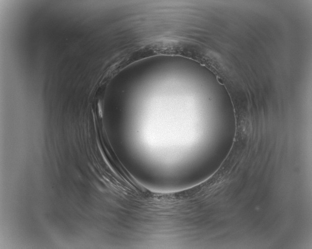X0000069840964200605191201