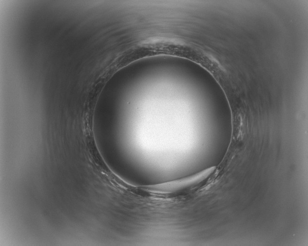 X0000069840965200605191201