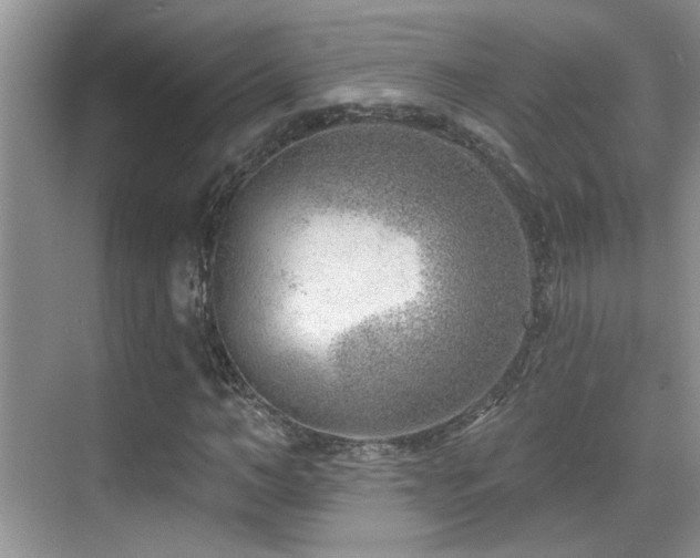 X0000069840966200605191201