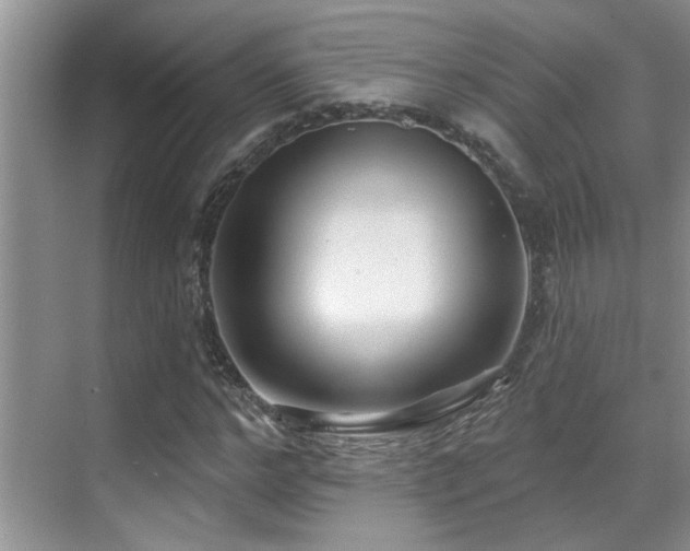 X0000069840968200605191201
