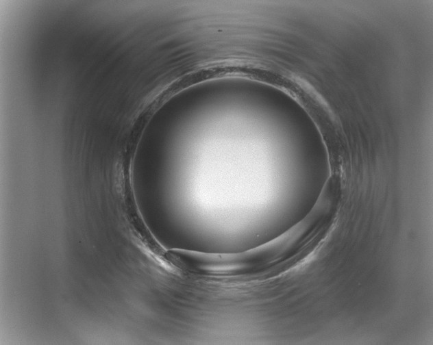 X0000069840969200605191201