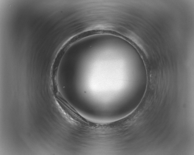 X0000069840972200605191201