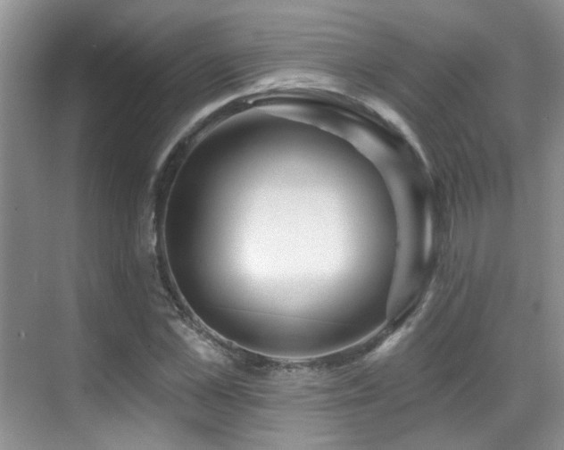 X0000069840973200605191201