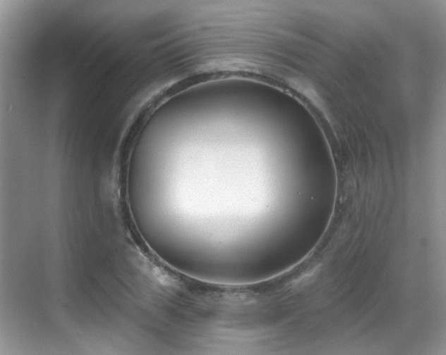 X0000069840979200605191201