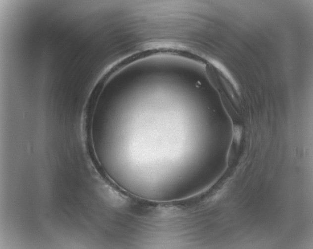 X0000069840983200605191201